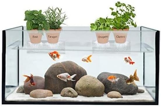 Ledge Suction Cup Window Shelf Acrylic Plant for Garden Bathroom Organizer Shelves Indoor Plant Holder - Glass Window Sill Extender for Microgreens Kit, Seed Starter Pots, Planters 5.5"