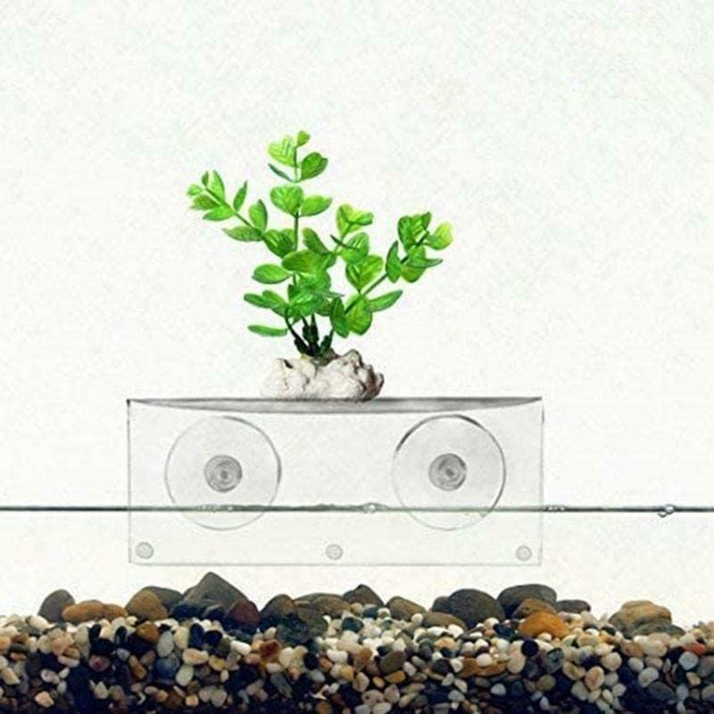 Ledge Suction Cup Window Shelf Acrylic Plant for Garden Bathroom Organizer Shelves Indoor Plant Holder - Glass Window Sill Extender for Microgreens Kit, Seed Starter Pots, Planters 5.5"