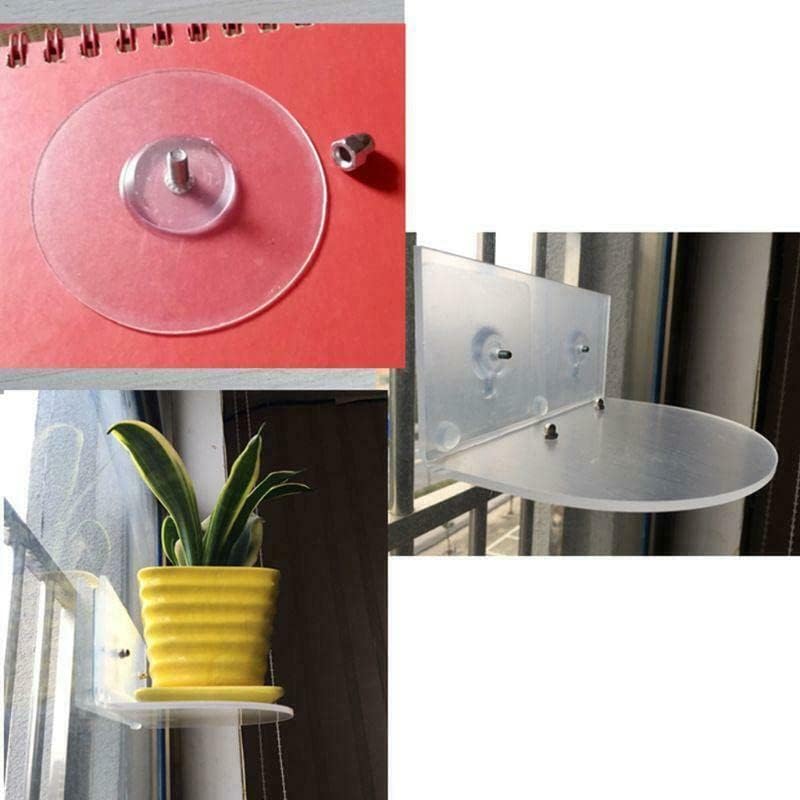 Ledge Suction Cup Window Shelf Acrylic Plant for Garden Bathroom Organizer Shelves Indoor Plant Holder - Glass Window Sill Extender for Microgreens Kit, Seed Starter Pots, Planters 5.5"