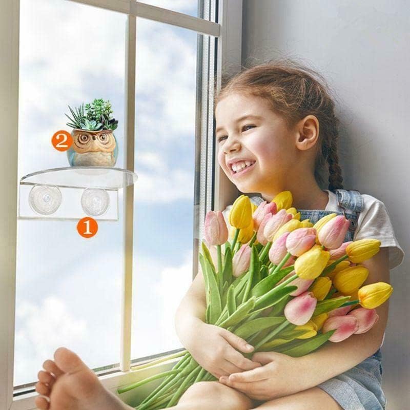 Ledge Suction Cup Window Shelf Acrylic Plant for Garden Bathroom Organizer Shelves Indoor Plant Holder - Glass Window Sill Extender for Microgreens Kit, Seed Starter Pots, Planters 5.5"