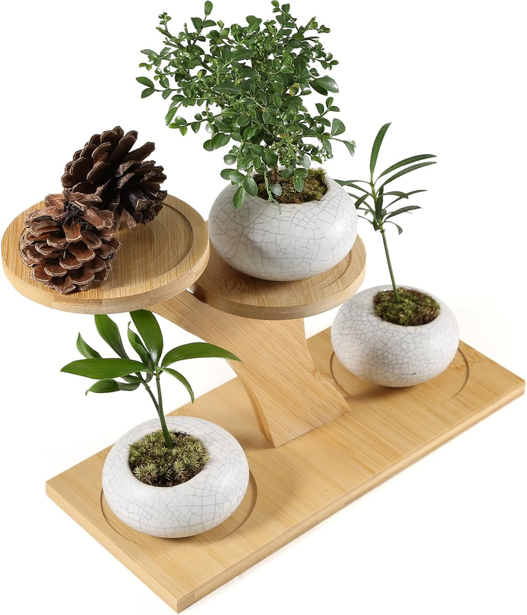 Window Sill Plant Shelf，Desk Desktop Bamboo Plant Stand， Table Succulent Plant Stand for Home, Office, Living Room, Bedroom Decoration