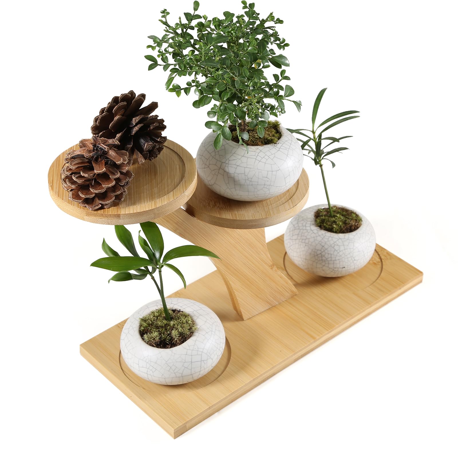 Window Sill Plant Shelf，Desk Desktop Bamboo Plant Stand， Table Succulent Plant Stand for Home, Office, Living Room, Bedroom Decoration
