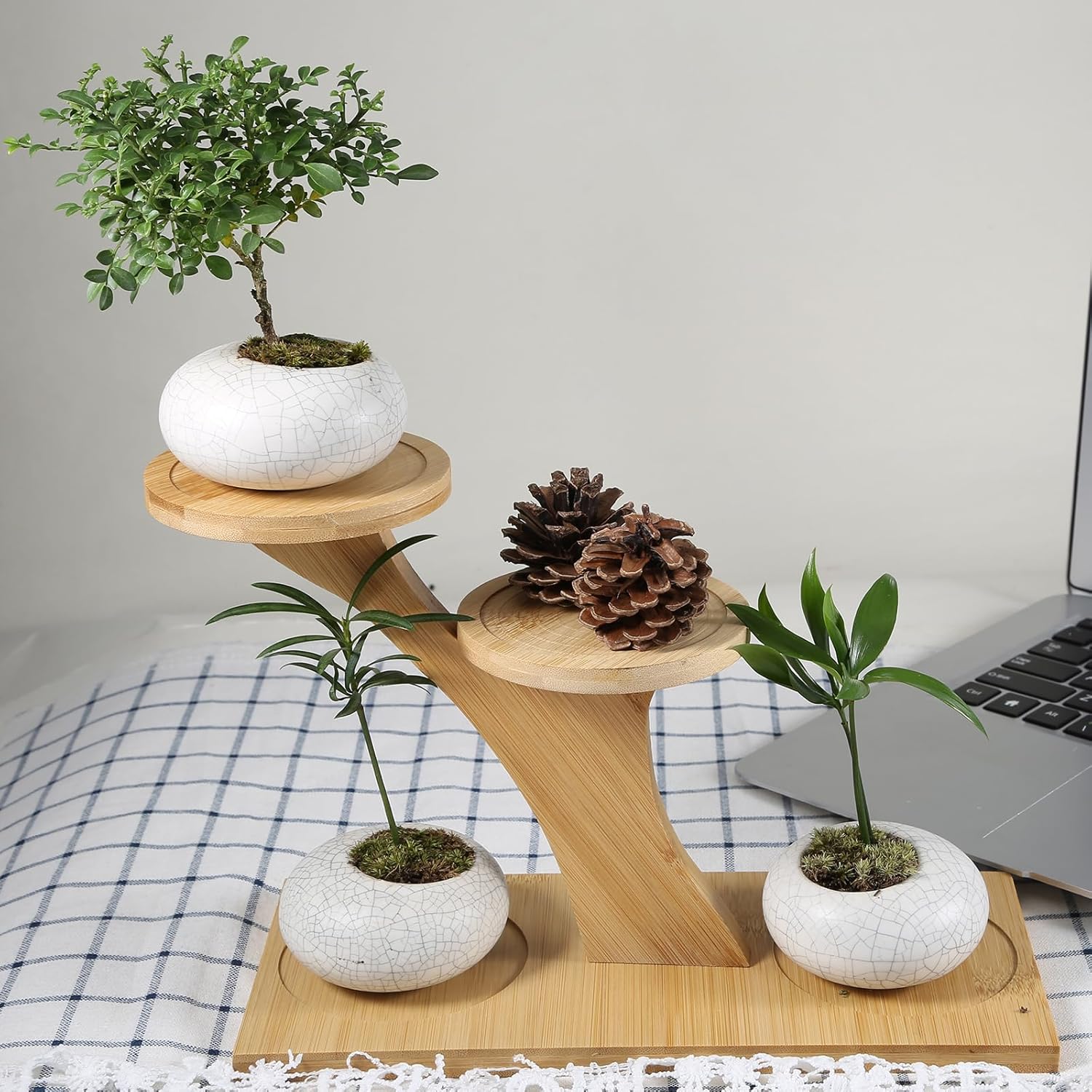 Window Sill Plant Shelf，Desk Desktop Bamboo Plant Stand， Table Succulent Plant Stand for Home, Office, Living Room, Bedroom Decoration