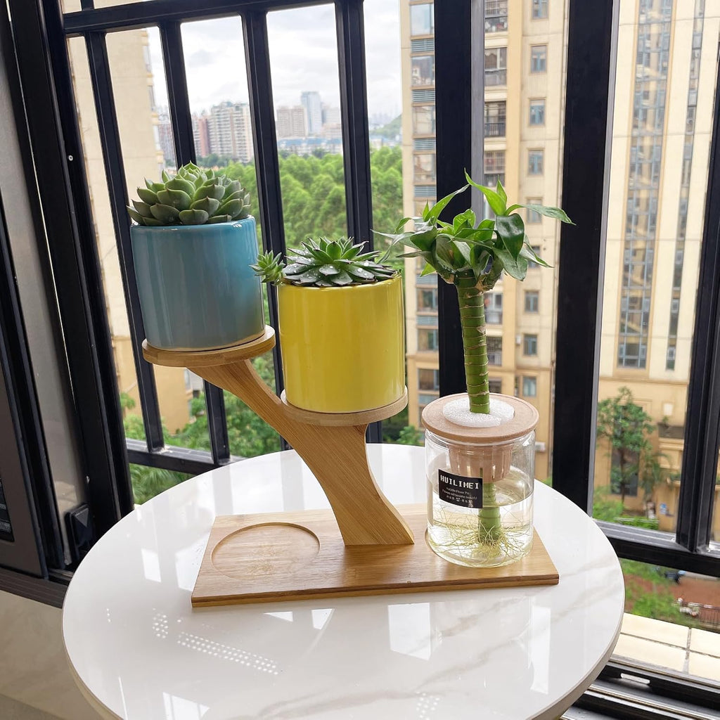 Window Sill Plant Shelf，Desk Desktop Bamboo Plant Stand， Table Succulent Plant Stand for Home, Office, Living Room, Bedroom Decoration